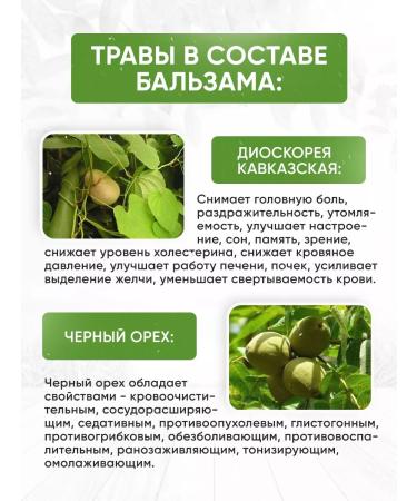 Rusich Balm for immunity - Buy Online on GoSupps.com