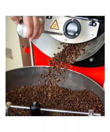 TSOK TSOK Coffee in Colombia Supremo Antiokia 500 gr - Buy Online on GoSupps.com