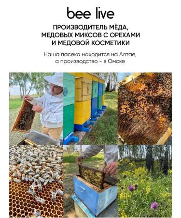 Bee Live Altai honey with cedar nut and cranberry 320 g - Buy Online on GoSupps.com