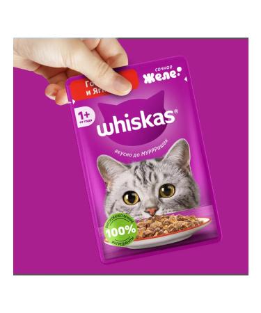 WHISKAS Wet food for cats beef lamb jelly 56pcs 75g - Buy Online on GoSupps.com
