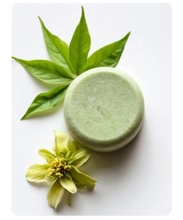 LEDI Cosmetics Hard -shampoo for oily hair 80g - Buy Online on GoSupps.com