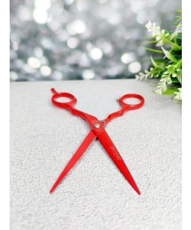 Charites Direct hairdressers 5.5 + cover and key - Buy Online on GoSupps.com