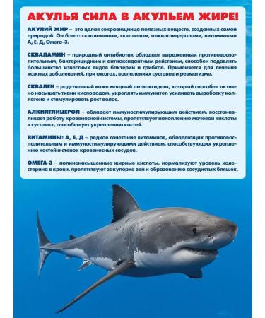 Shark Power Miracle ointment for joint pain with chondroitin and glucosamine. LUCHIKS - Buy Online on GoSupps.com