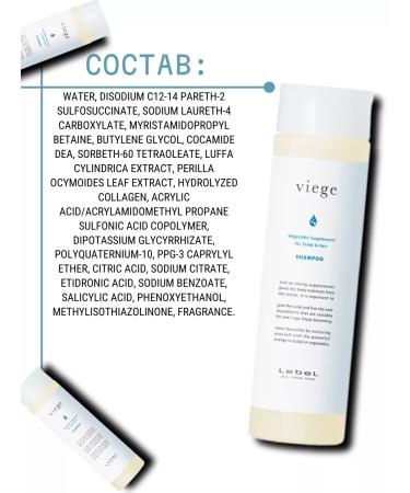 Lebel Viege Shampoo Hair and scalp shampoo 240ml - Buy Online on GoSupps.com