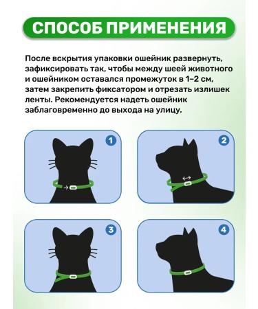Petit Cossack cat collar - Buy Online on GoSupps.com