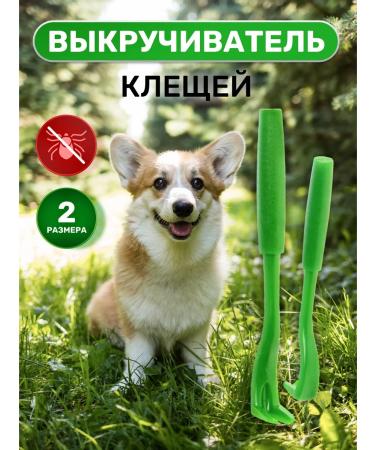 Petit Tickle Ticks Box 2 pcs