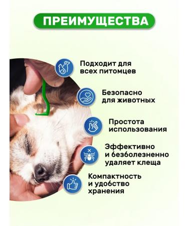 Petit Tickle Ticks Box 2 pcs - Buy Online on GoSupps.com