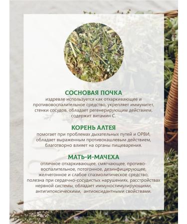 Altai Health Shop Herbal collection for lung health from cough - Buy Online on GoSupps.com