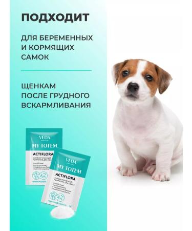 VEDA Probiotics and a prebiotic for dogs ActIFLORA complex 30X1GR - Buy Online on GoSupps.com