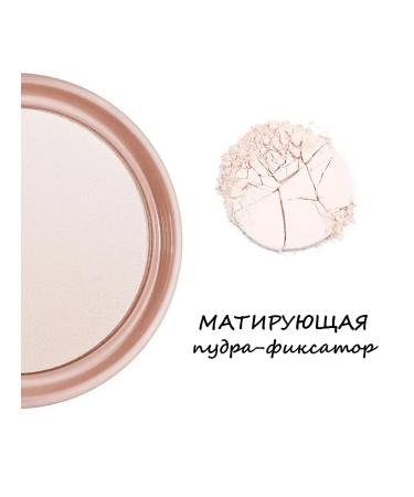 LUXVISAGE Mating powder-fixer Expert Matt