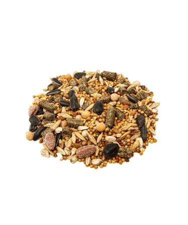 SEVEN SEEDS Special food for hamsters with fruits 400 g - Buy Online on GoSupps.com