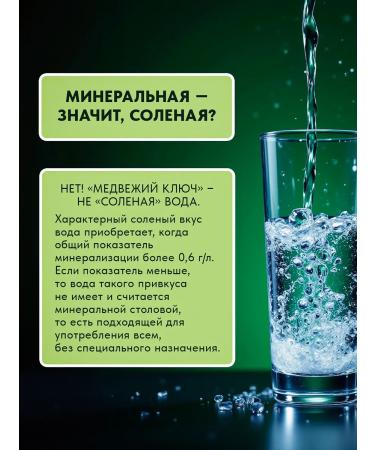 Bear Key Mineral water with magnesium non -carbonated 16pcs of 0.33 liters - Buy Online on GoSupps.com