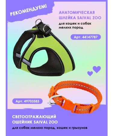 Le Artis Hypoallergenic champane for cats - Buy Online on GoSupps.com