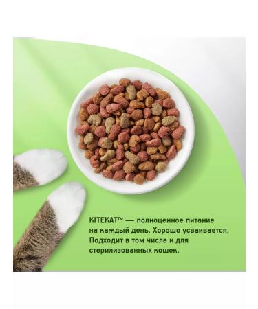 Kitekat Dry food for cats chicken 10pcs of 800g - Buy Online on GoSupps.com