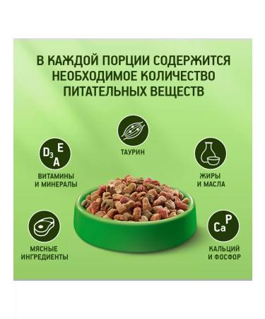Kitekat Dry food for cats chicken 10pcs of 800g - Buy Online on GoSupps.com