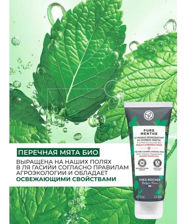 Yves Rocher Face mask that cleanses the pores with coal and peppermint bio - Buy Online on GoSupps.com