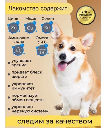 Doghigh Treats for dogs nose beef - Buy Online on GoSupps.com