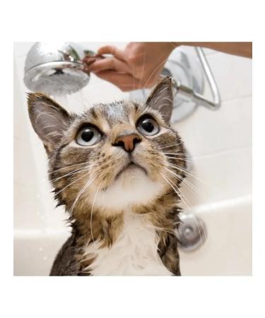 GOOD CAT Cat shampoo Bubble GUM 250ml - Buy Online on GoSupps.com