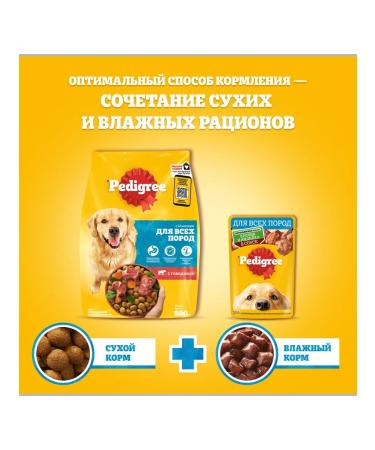 PEDIGREE Wet feed for dogs beef and lamb 56pcs of 85g - Buy Online on GoSupps.com