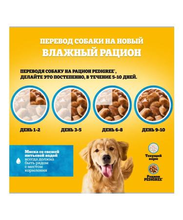 PEDIGREE Wet feed for dogs beef and lamb 56pcs of 85g - Buy Online on GoSupps.com