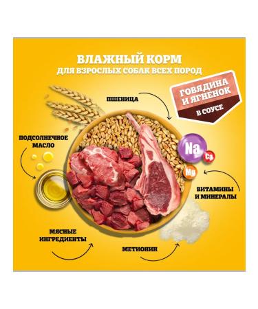 PEDIGREE Wet feed for dogs beef and lamb 56pcs of 85g - Buy Online on GoSupps.com