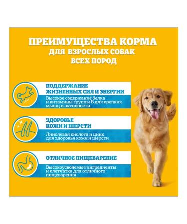 PEDIGREE Wet food for dogs veal and liver 56pcs of 85g - Buy Online on GoSupps.com