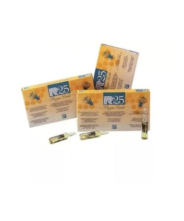 Dixson P.R.25 REALE . .10 10  - Buy Online on GoSupps.com