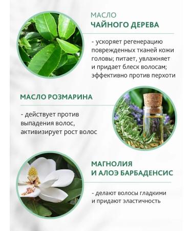 Silent Palm Nature  - Buy Online on GoSupps.com