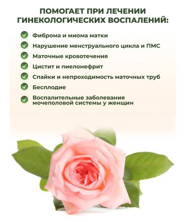 ALFIT Vitamins with Borovaya uterus Gyneconorm complex - Buy Online on GoSupps.com