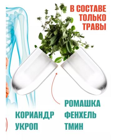 ALFIT Gastrocofor for the stomach and intestines from heartburn and bloating - Buy Online on GoSupps.com