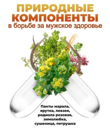 ALFIT Vitamins for men with pantas of Maral and Yarutka - Buy Online on GoSupps.com