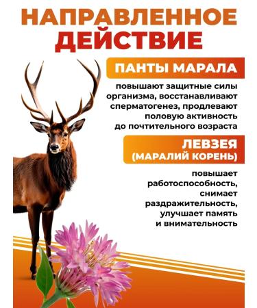 ALFIT Vitamins for men with pantas of Maral and Yarutka - Buy Online on GoSupps.com