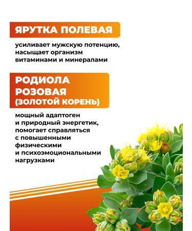 ALFIT Vitamins for men with pantas of Maral and Yarutka - Buy Online on GoSupps.com