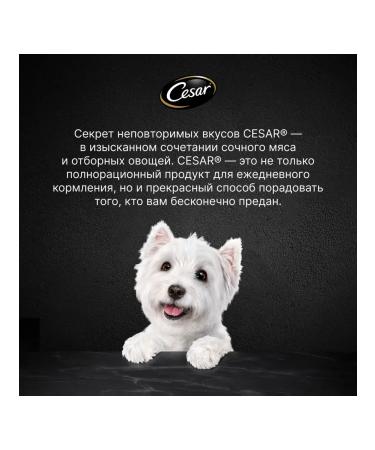 CESAR Dog feed is wet veal and vegetables in jelly 28pcs. x 85g - Buy Online on GoSupps.com