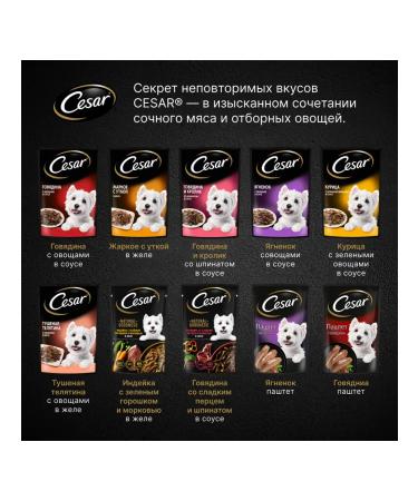 CESAR Wet food for dogs with lamb and vegetables 28pcs 85g - Buy Online on GoSupps.com