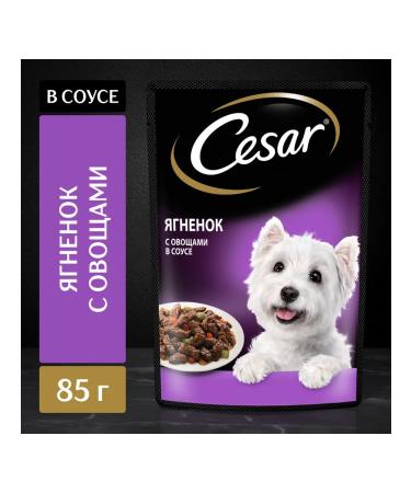 CESAR Wet food for dogs with lamb and vegetables 28pcs 85g - Buy Online on GoSupps.com