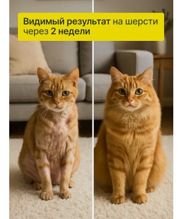 HOWL Salmon oil for cats and dogs fish oil 250ml - Buy Online on GoSupps.com