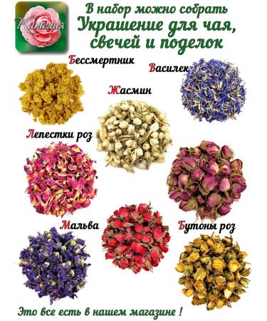 Camellia Tea Company Brusnika leaves - Buy Online on GoSupps.com