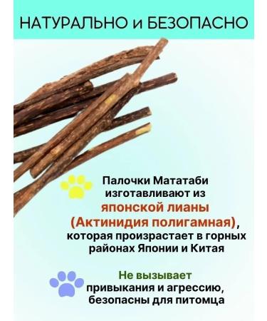 Salamat Wooden wands of Matathabi - Buy Online on GoSupps.com