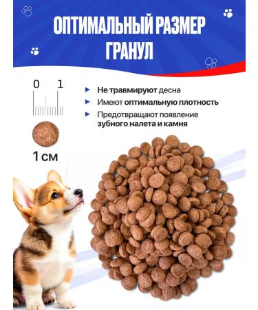 IMPENATURAL Puppies Feed Dry Complex Imperial 10 kg - Buy Online on GoSupps.com