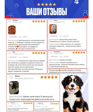 IMPENATURAL Feed for large breed puppies full -line imperial 10 kg - Buy Online on GoSupps.com