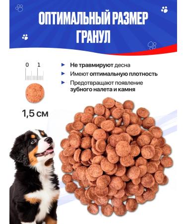 IMPENATURAL Feed for large breed puppies full -line imperial 10 kg - Buy Online on GoSupps.com
