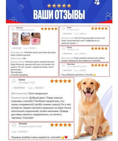 IMPENATURAL Dog feed is a full -time imperial 10 kg - Buy Online on GoSupps.com