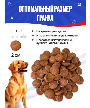 IMPENATURAL Dog feed is a full -time imperial 10 kg - Buy Online on GoSupps.com