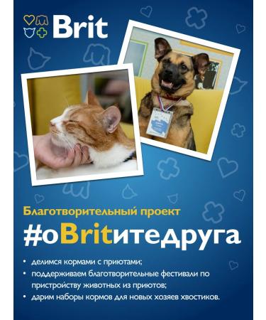 Brit with chicken for dogs of medium breeds 3 kg - Buy Online on GoSupps.com