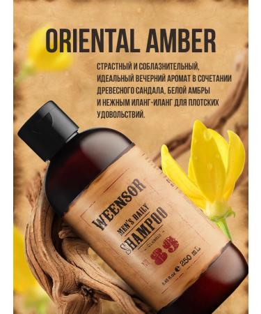 Weensor Male perfumed eastern amberous shampoo - 250 ml - Buy Online on GoSupps.com