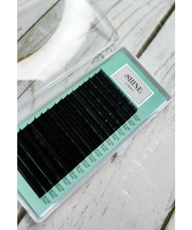 elShine Eyelashes for increasing Elshain light black d 0.10 08mm - Buy Online on GoSupps.com