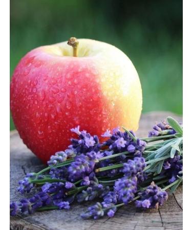 EMPIRE OF TEA Herbal with chamomile lavender and linden - Buy Online on GoSupps.com