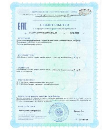 Biolit Russia Granular hepatosol 90 dietary supplements to protect the liver - Buy Online on GoSupps.com