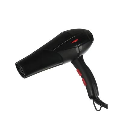 LEBEN Hair hair dryer 850W 2 speeds black